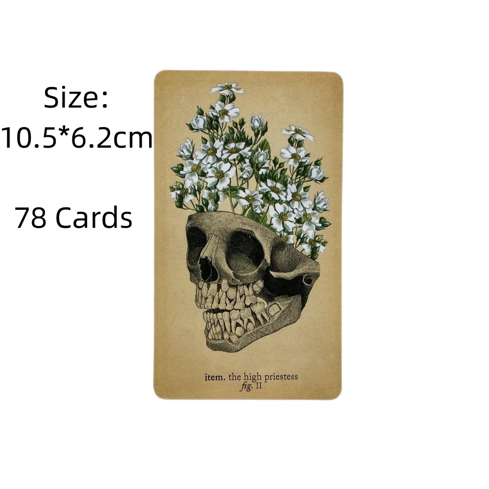 Die antiken Anatomie-Tarotkart – Card Game Deck Bewertung und Preis