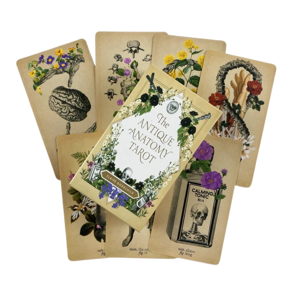 Die antiken Anatomie-Tarotkart – Card Game Deck Bewertung und Preis