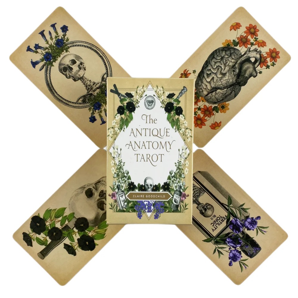 Die antiken Anatomie-Tarotkart – Card Game Deck Bewertung und Preis