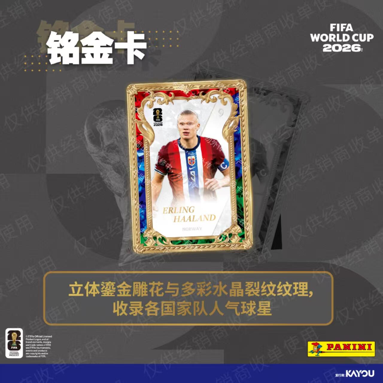 KAYOU Panini FIFA World Cup 20 – Board Game Football Bewertung und Preis